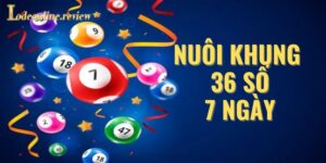 Đôi nét về phương pháp nuôi khung 36 số 7 ngày siêu hot
