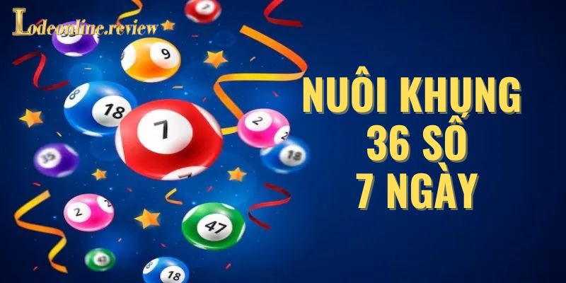 Đôi nét về phương pháp nuôi khung 36 số 7 ngày siêu hot
